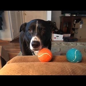 Meet your Posher, Jamie